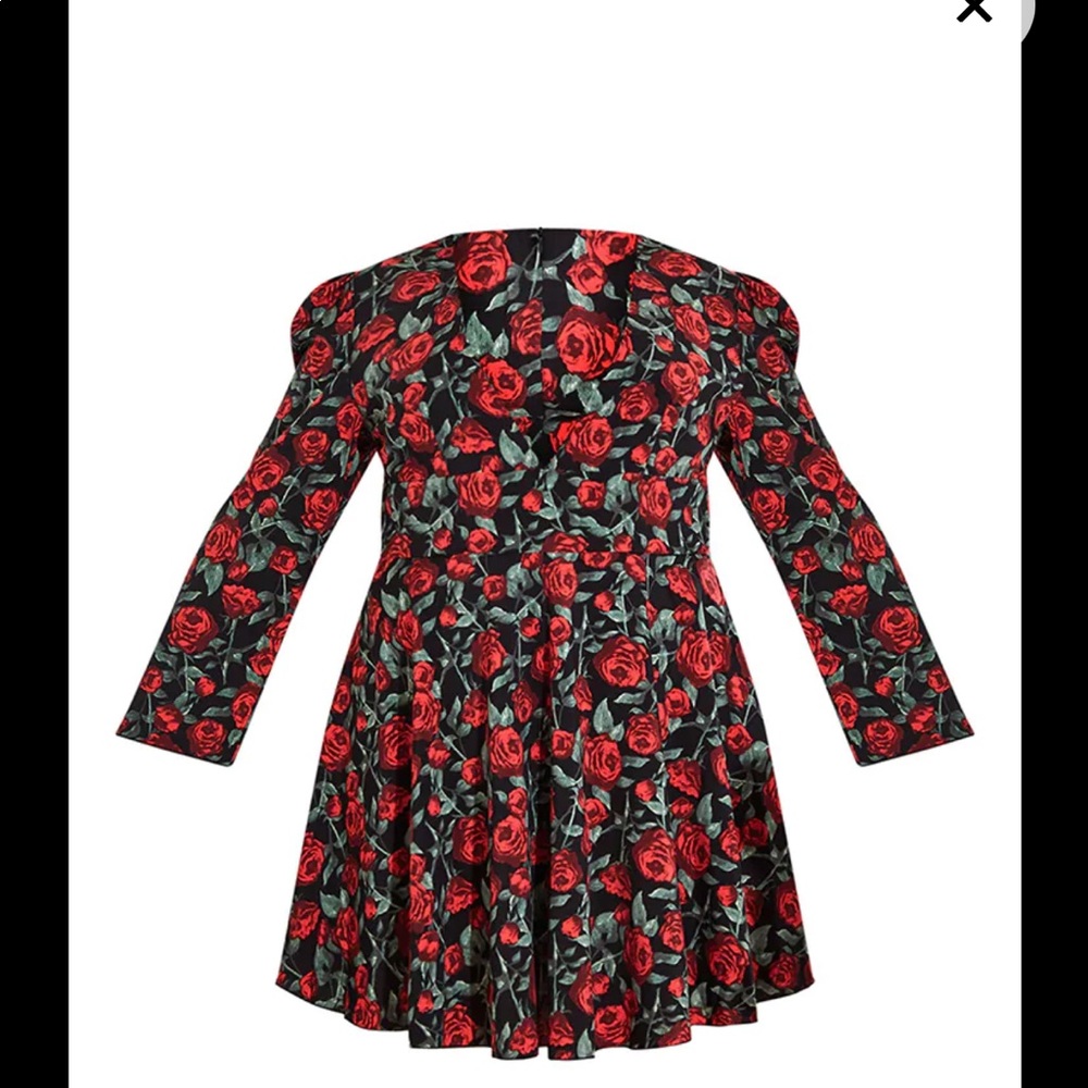NWT Plus Black Rose Plunge Skater Dress